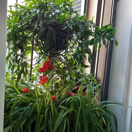 City Break House Salerno Luaran gambar
